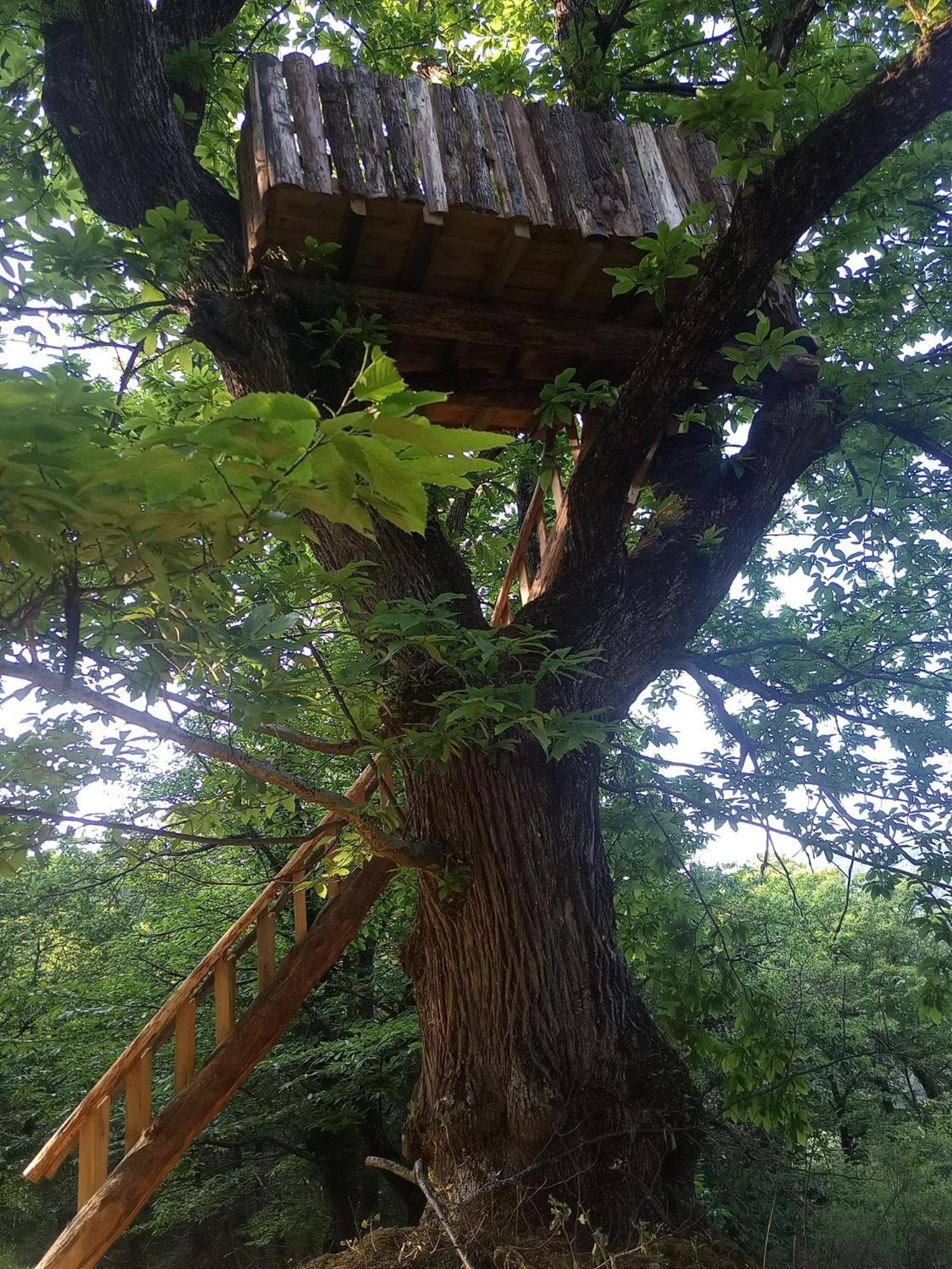 La Ferme Des Cevennes Hotel Florac Eksteriør billede