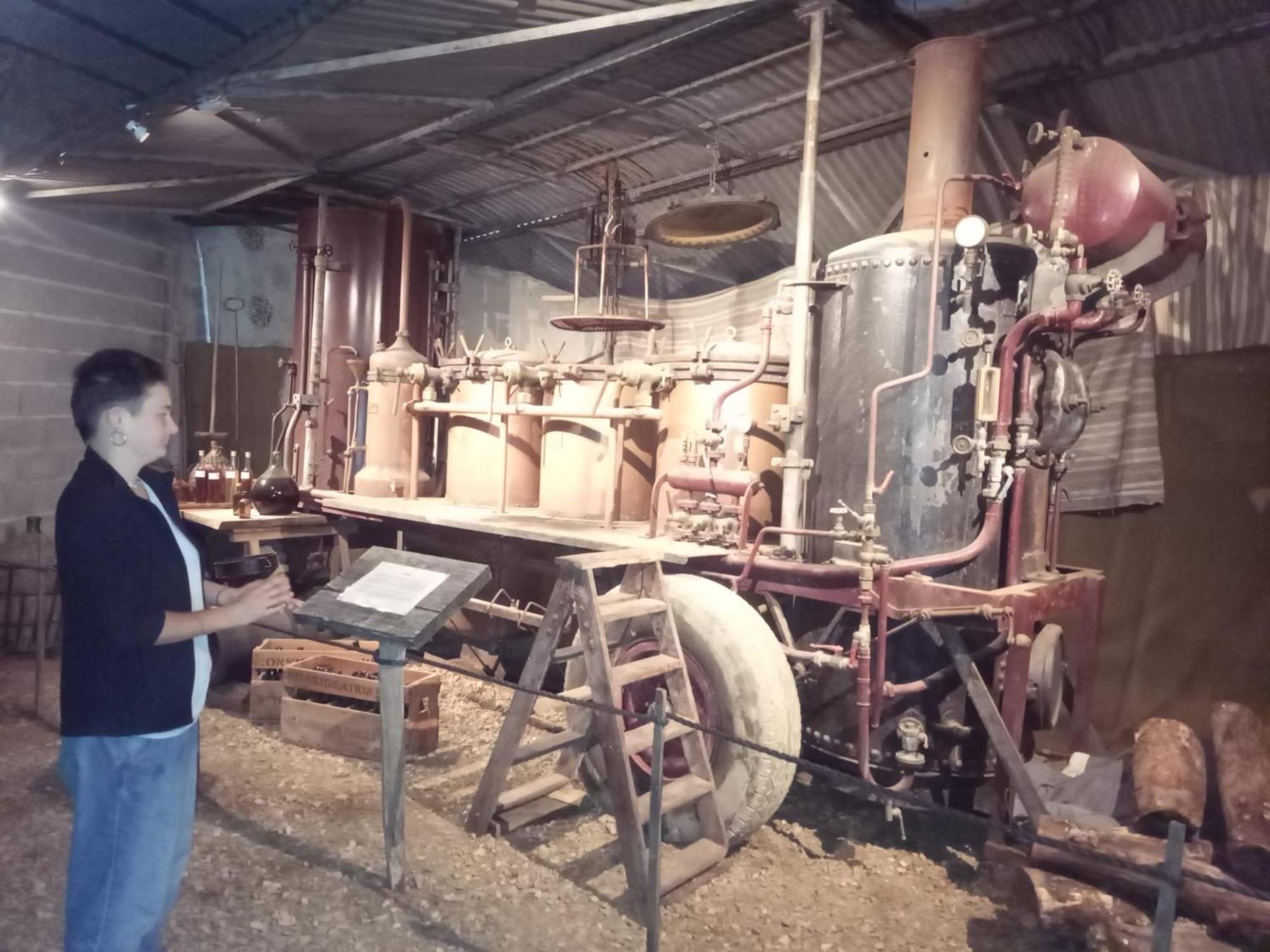 La Ferme Des Cevennes Hotel Florac Eksteriør billede
