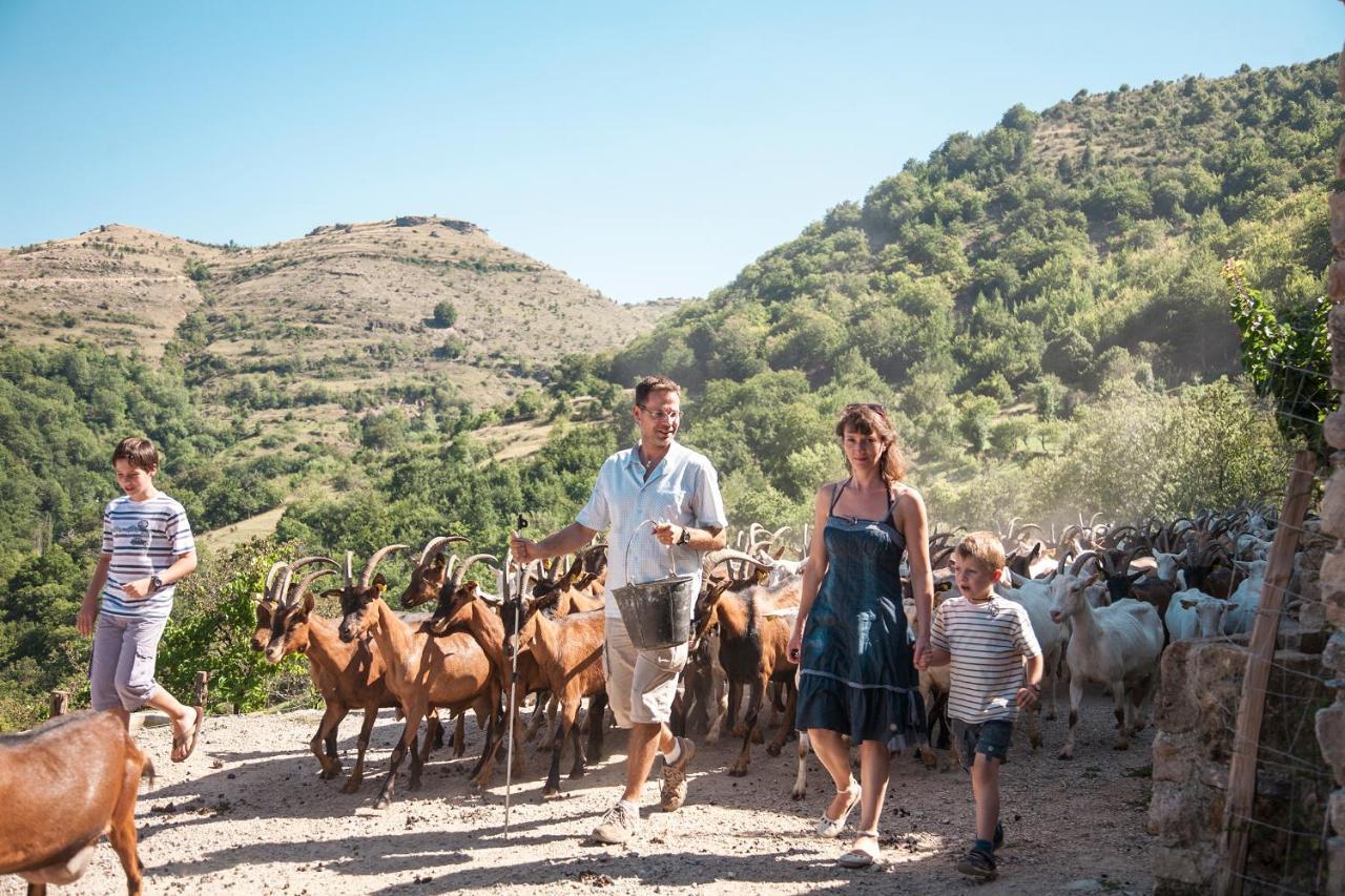 La Ferme Des Cevennes Hotel Florac Eksteriør billede