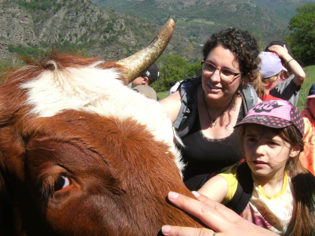 La Ferme Des Cevennes Hotel Florac Eksteriør billede