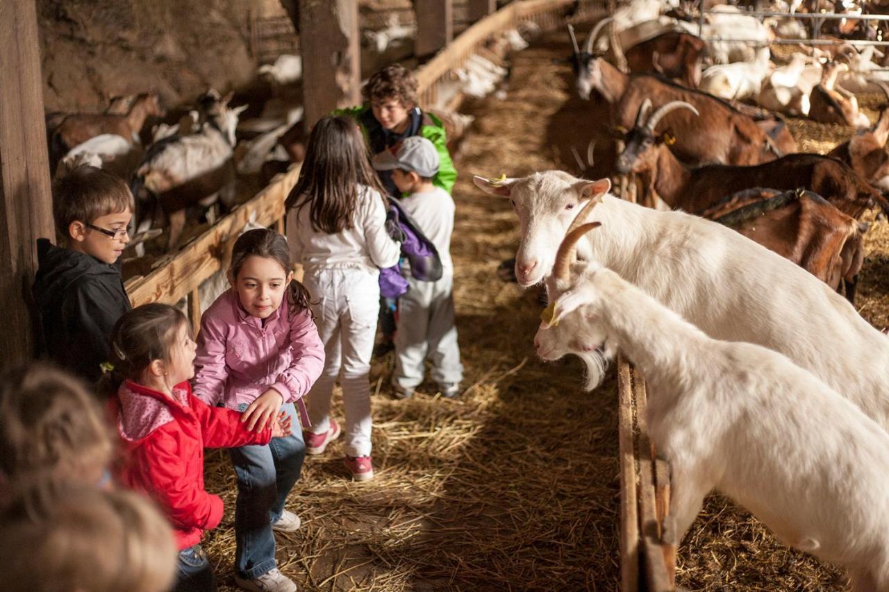 La Ferme Des Cevennes Hotel Florac Eksteriør billede