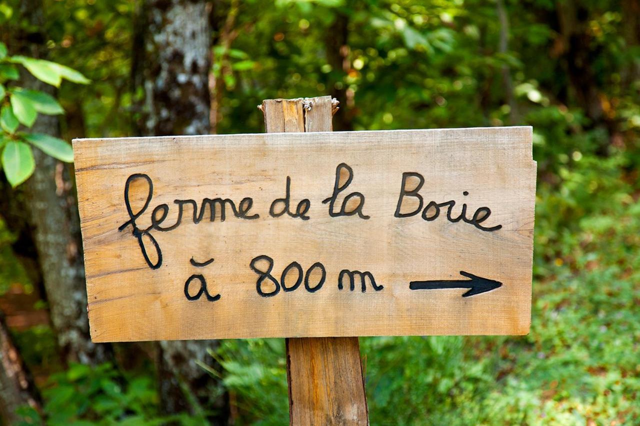 La Ferme Des Cevennes Hotel Florac Eksteriør billede