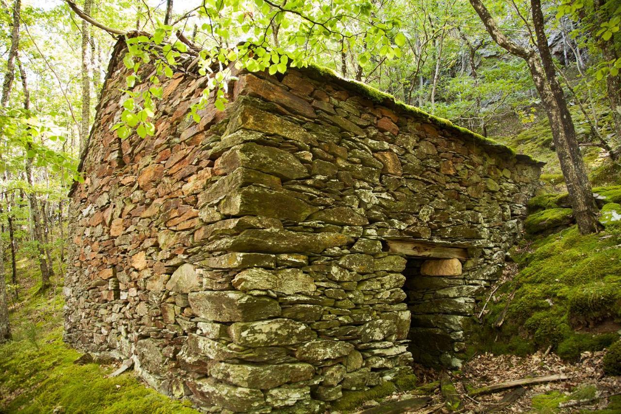 La Ferme Des Cevennes Hotel Florac Eksteriør billede