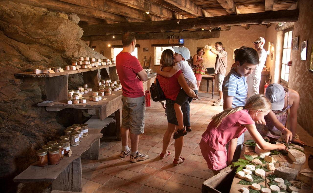 La Ferme Des Cevennes Hotel Florac Eksteriør billede
