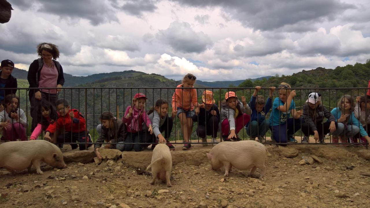 La Ferme Des Cevennes Hotel Florac Eksteriør billede